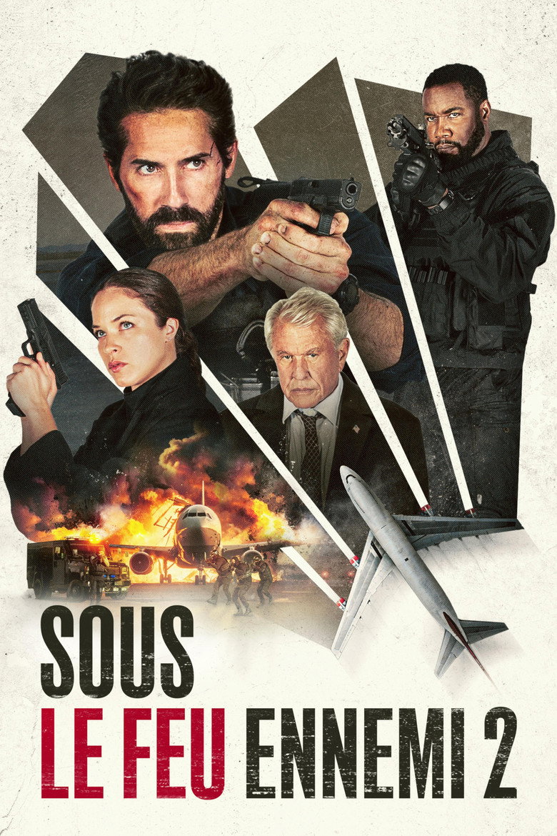 Póster la Película