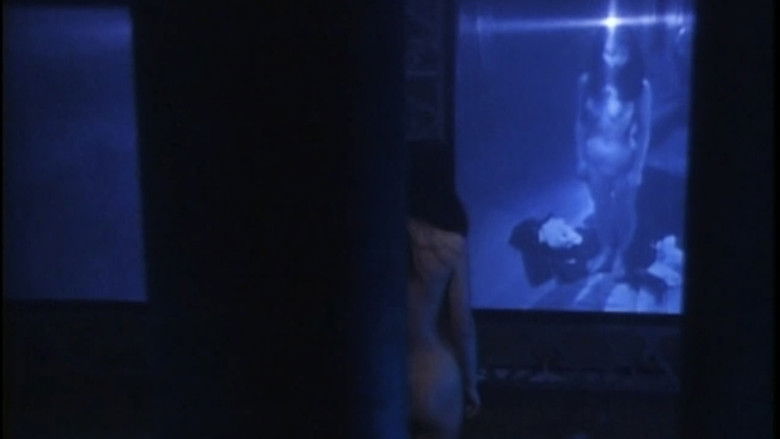 Image d'arrière-plan 3 du film 警告！のぞきアリ。