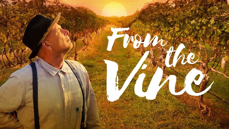 From the Vine movie poster