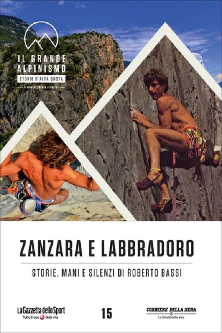 Zanzara e Labbradoro - Storie Mani e Silenzi di Roberto Bassi main poster