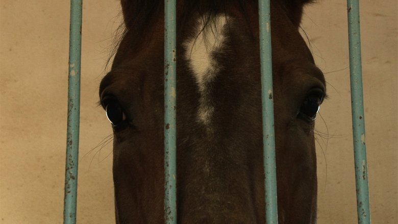 Gallery image from wr5V47lW8snvHnJPve8uYH6GESh.jpg