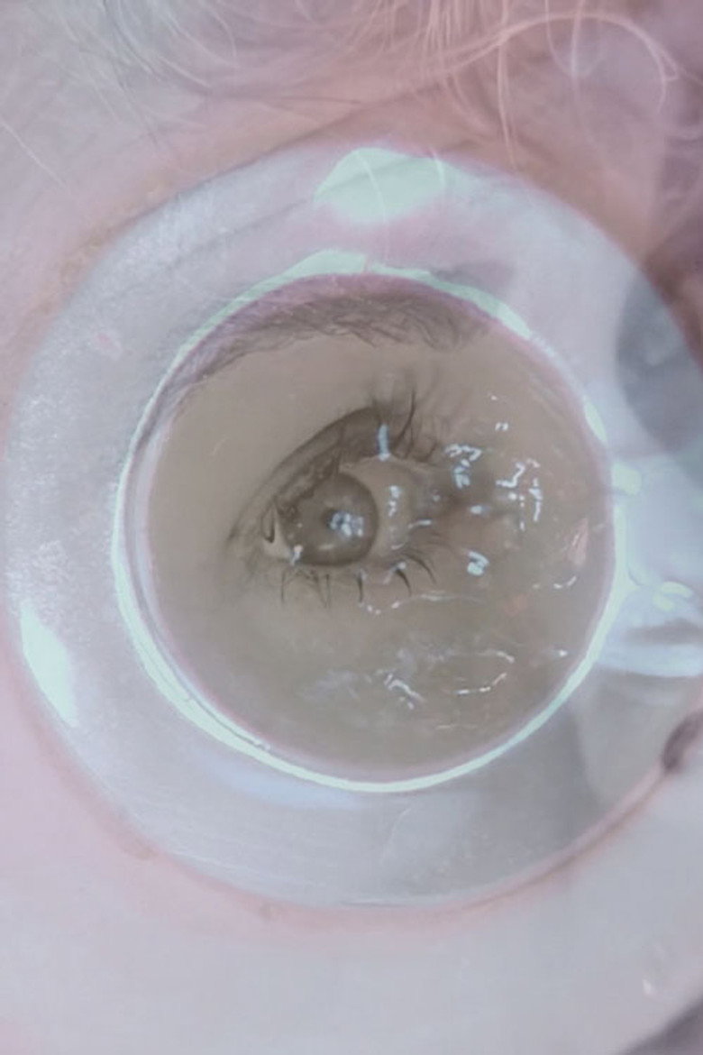 Imatge de Psycho 60/98