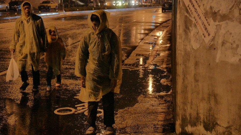 Stray Dogs (2014)