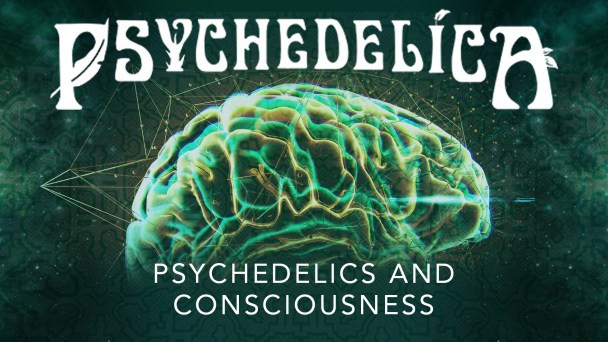Still image for Psychedelica season 1 episode 1: Psychedelics and Consciousness