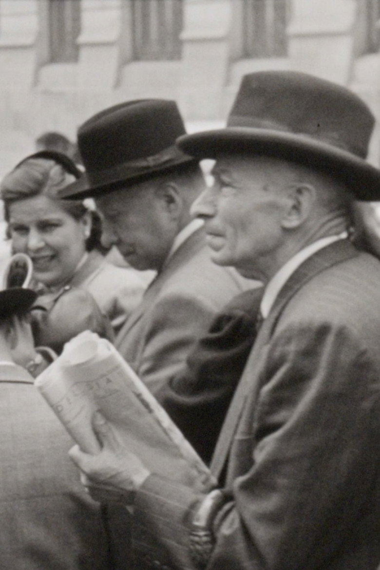 Buses de Bogotá background