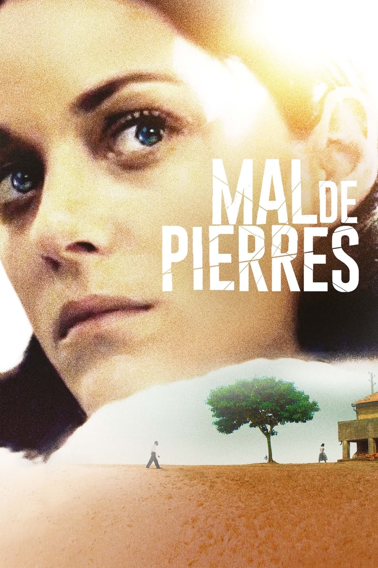 Mal de pierres (2016)