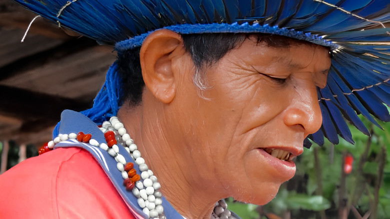 Gallery image from wtliZ9M2OauuH2jYHDs8hHqqUOM.jpg