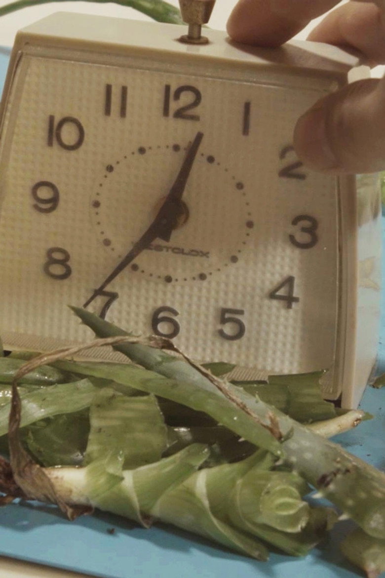 Imatge de The Protagonists