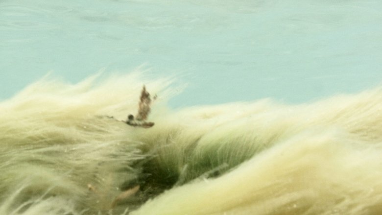 Wildness of Waves movie poster