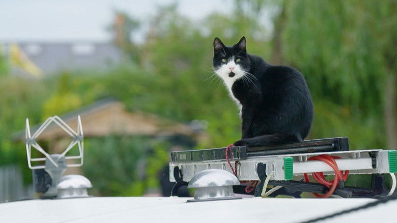 Narrow Escapes 2×11