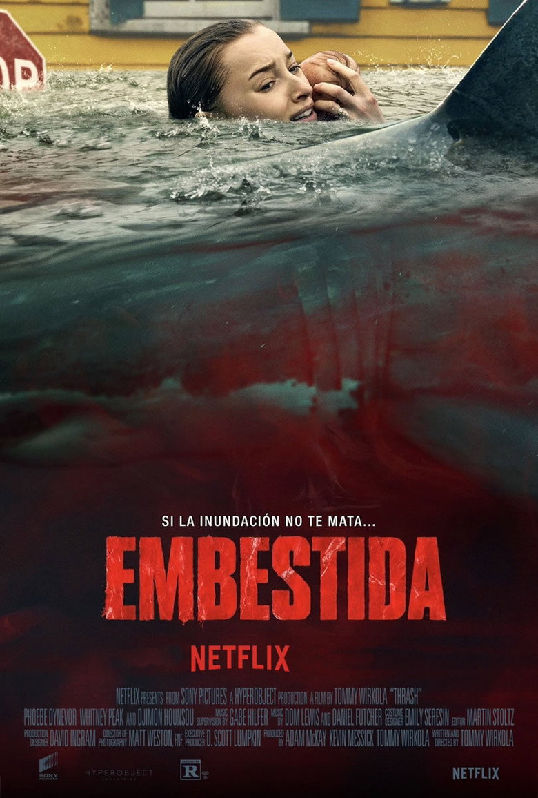 Póster la Película