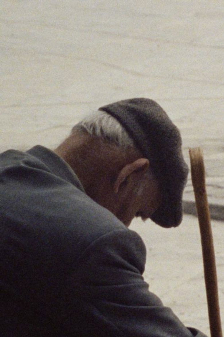 Imatge de Among the Eucalyptuses