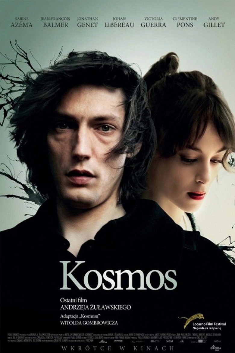 Plakat filmu Kosmos