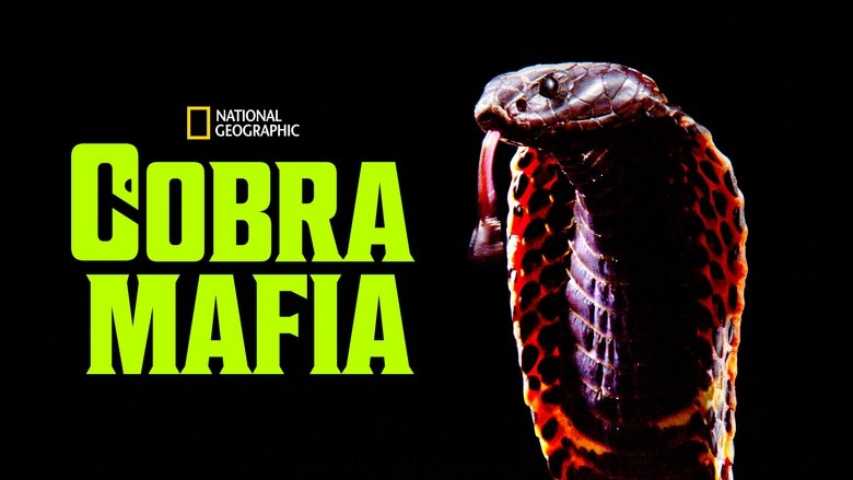 Gallery image from wwdo6sIL9H11UDYnkz0pOhHmAjW.jpg