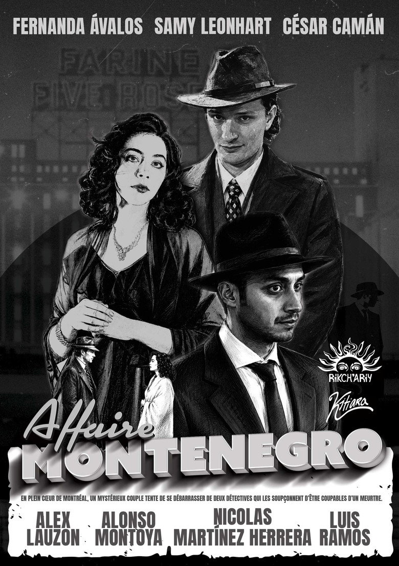 Affaire Montenegro