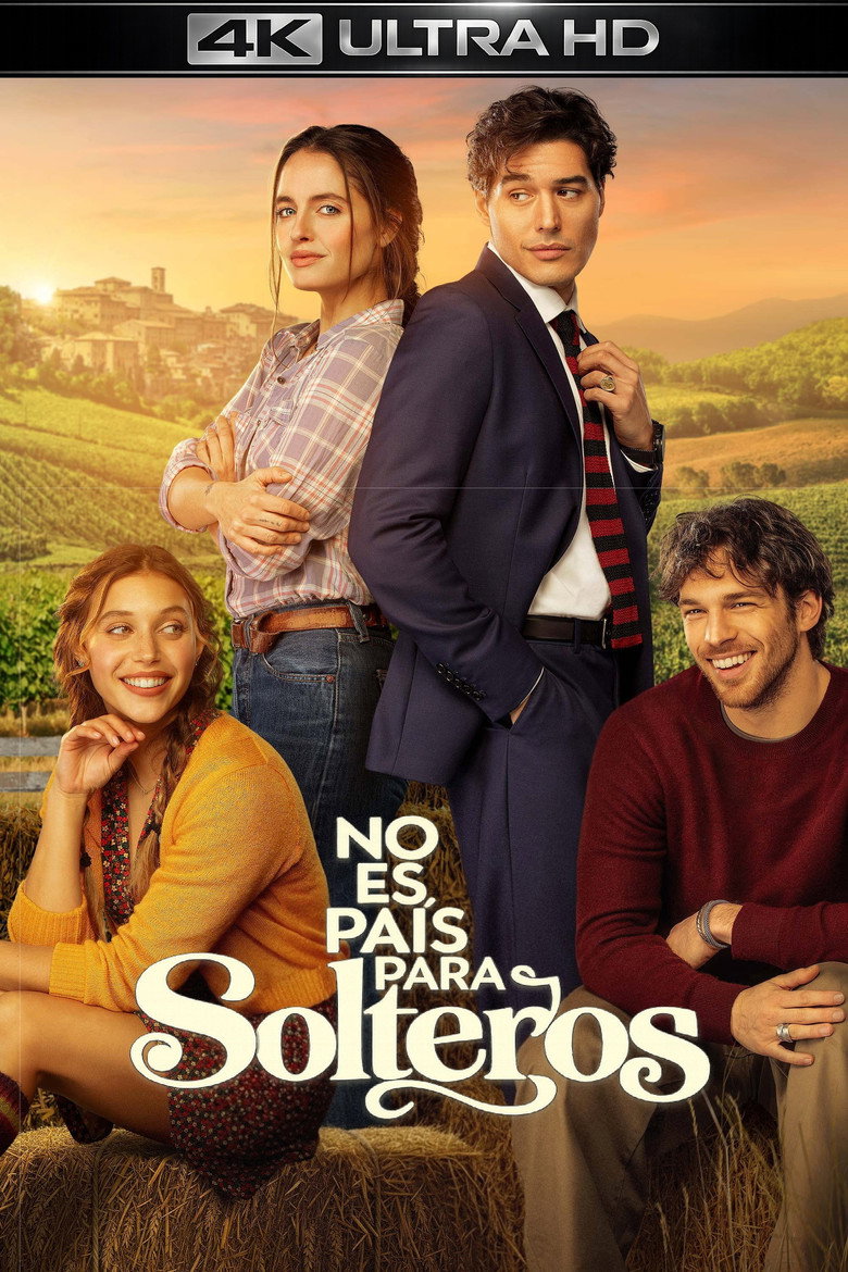Póster la Película