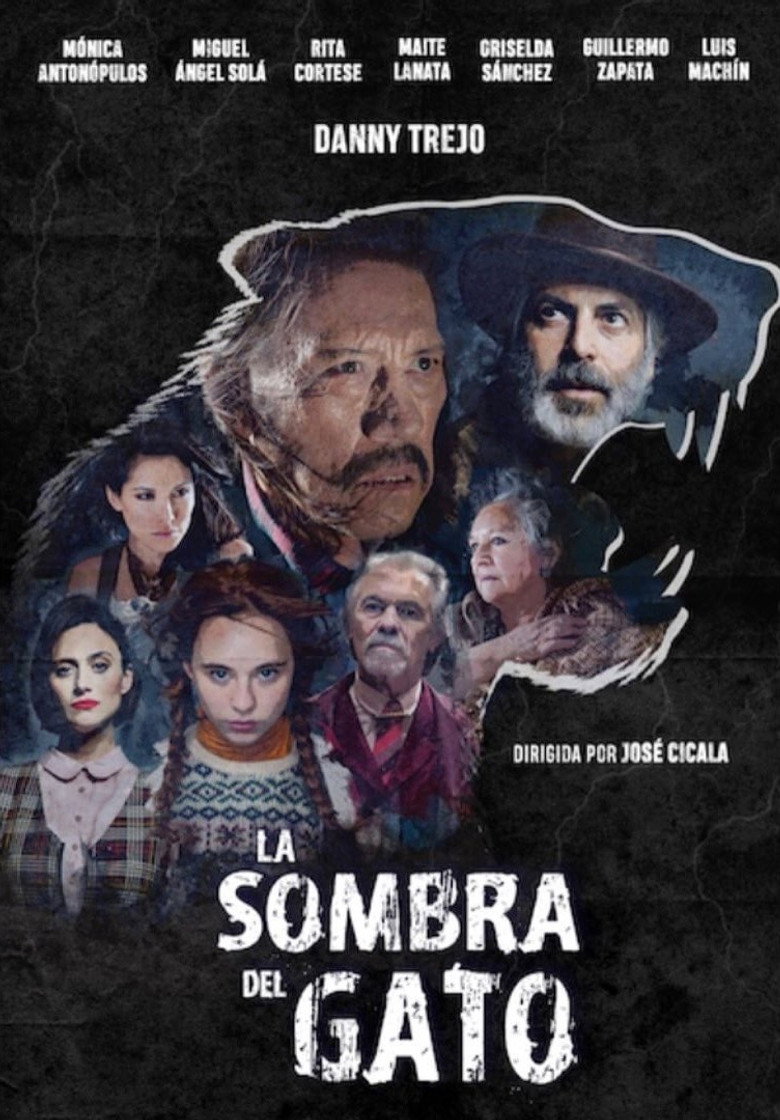 Imatge de La sombra del gato