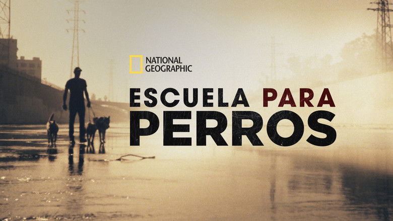 Gallery image from wy11Q1FBoDKQcvT6dafJxuCrfJE.jpg