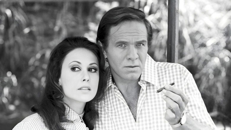 Verão Vermelho backdrop 1