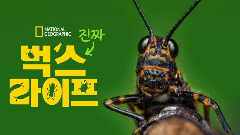 Gallery image from wyCLmZVmMDkGbOhbAlPxrwx7RWE.jpg