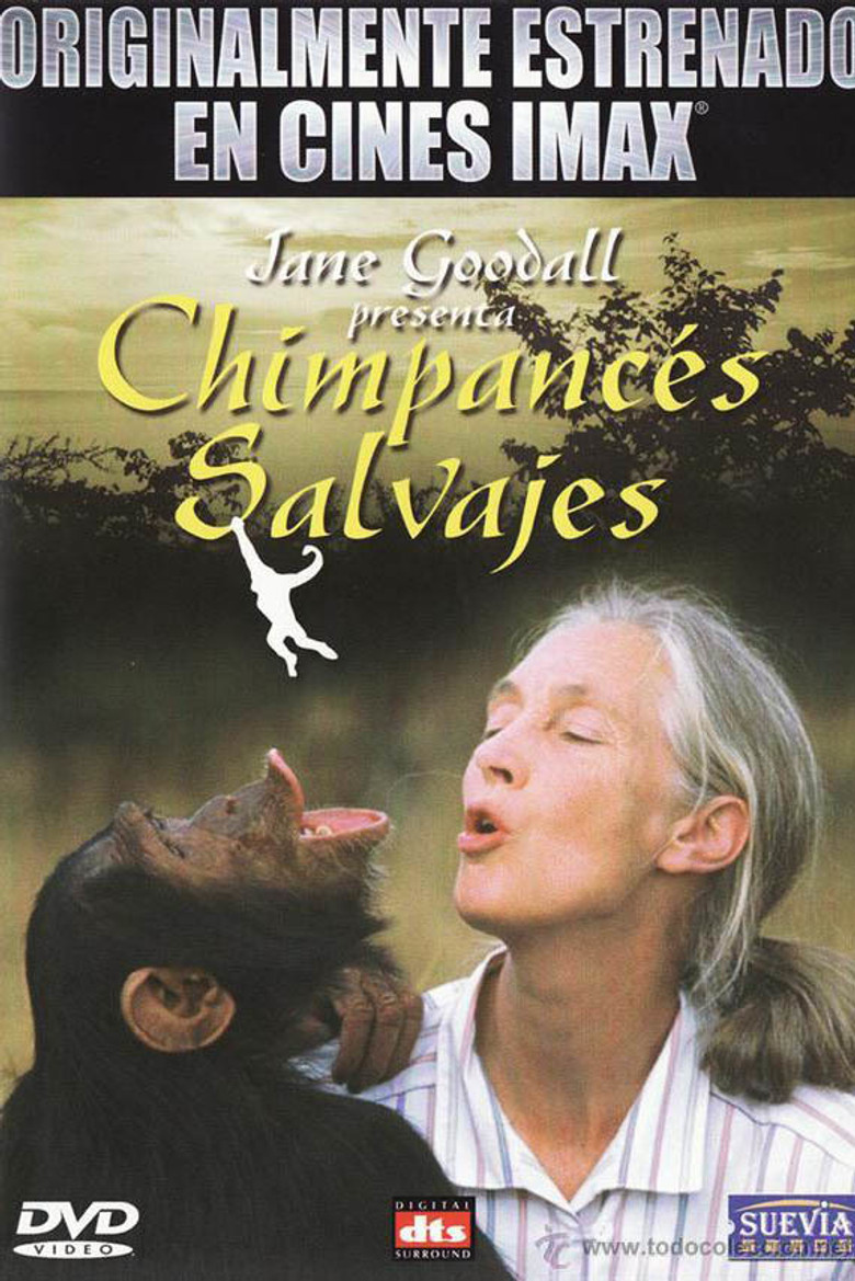 Imax - Chimpances Salvajes background