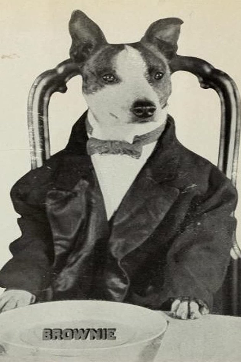 Ảnh Brownie the Wonder Dog