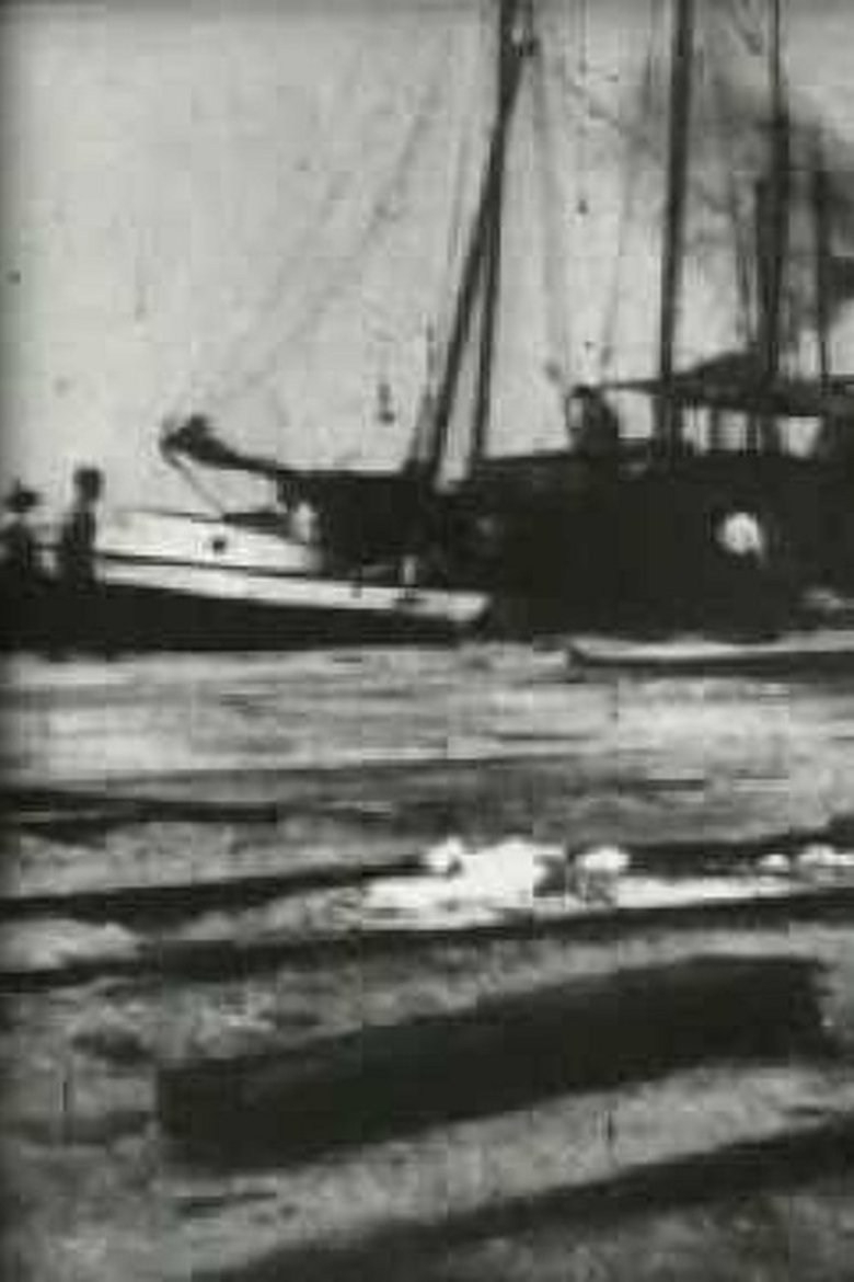 Bird's-Eye View of Dock Front, Galveston main poster