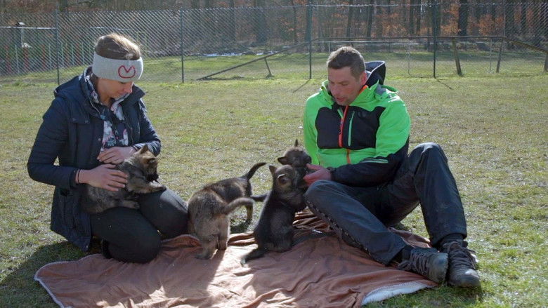 Still image for Co naše babičky uměly a na co my jsme zapomněli season 1 episode 8: Episode 8