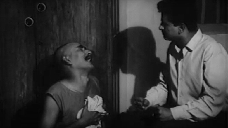 Gallery image from x0EJmlURKLVIc7KZONPj9NqybIq.jpg