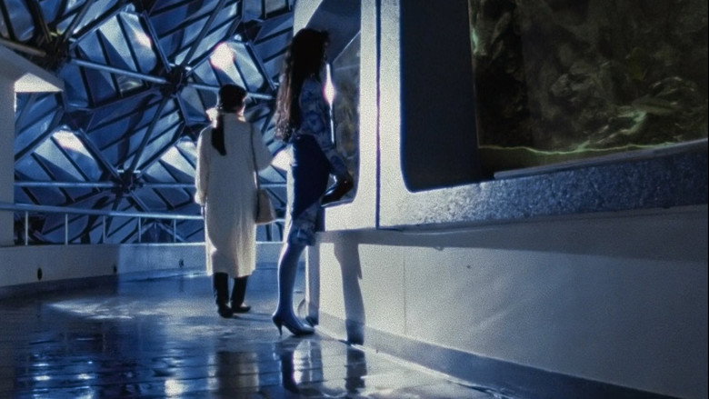 Still from Door II: Tokyo Diary