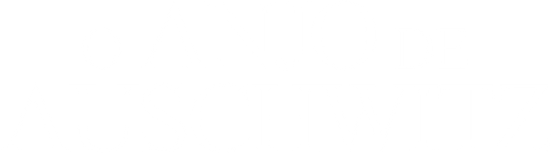 Imagen de The Angel of Auschwitz