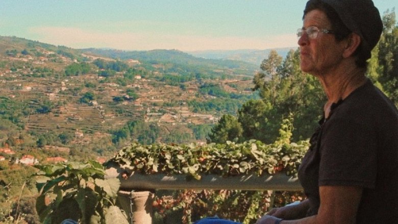 Gallery image from x1GB9Uu5OyEjapRUo268W99DIO5.jpg