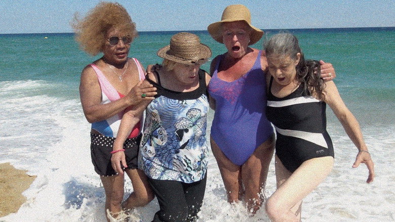 Imatge de Siemprevivas