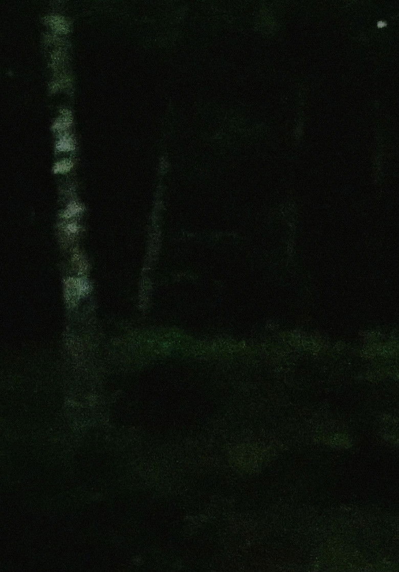 Imatge de light rain, empty mind