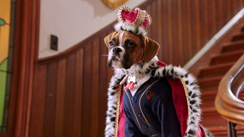 Still image for Pup Academy season 1 episode 15: The Day of the Stray