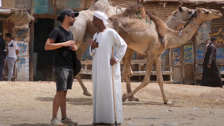 Imatge de 40 days road