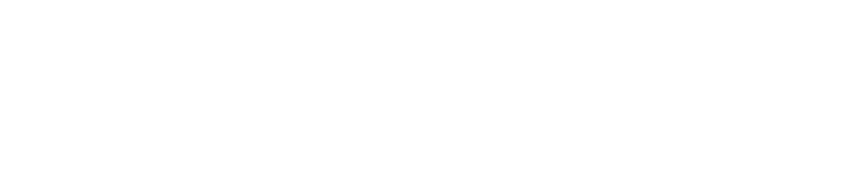 Камера 211