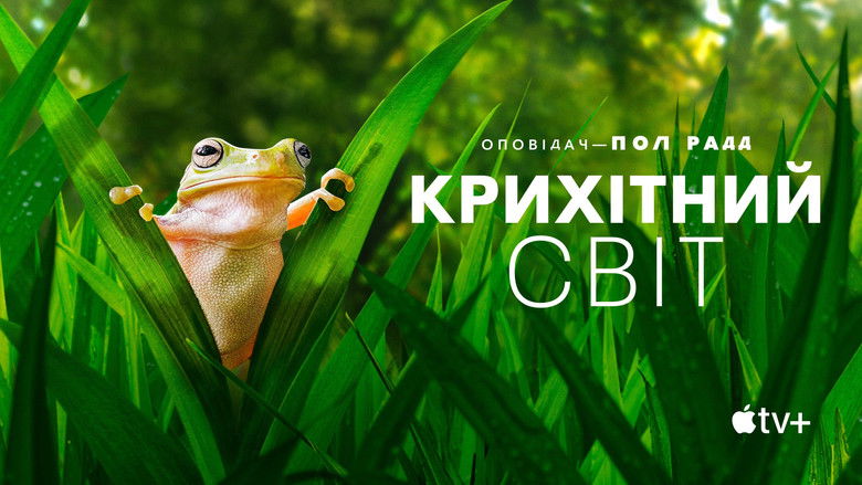 Gallery image from x3CQQalNCLDasJ4ozP8T78PbP6l.jpg