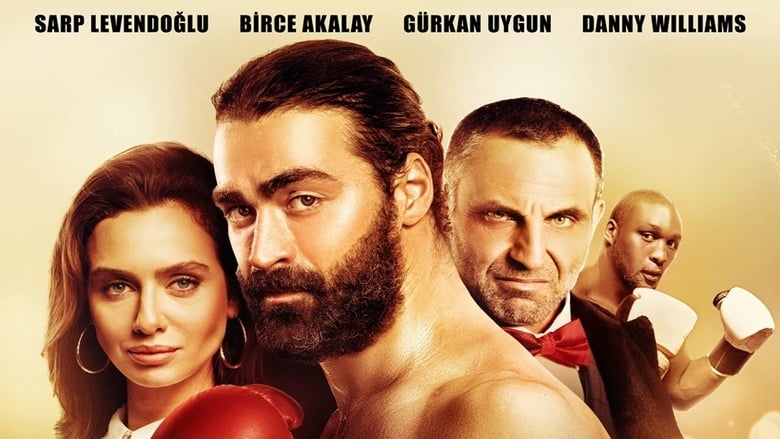 Turkish Tiger (2016) HD 1080p Latino