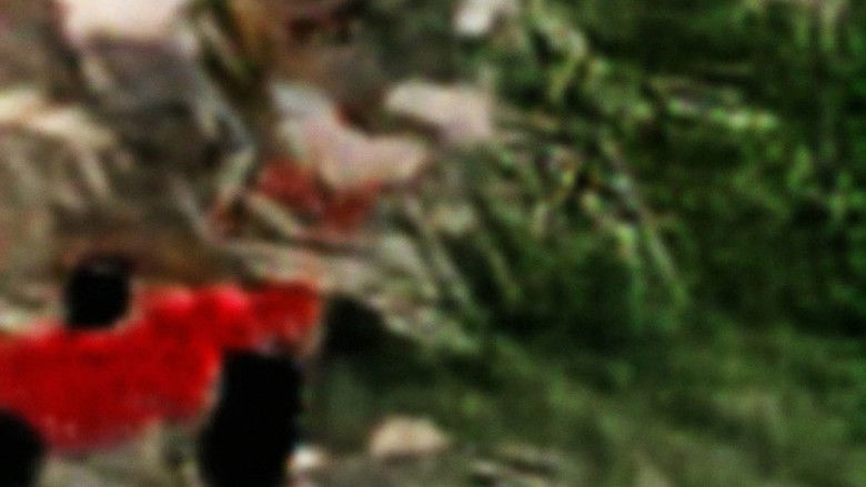 Gallery image from x3hmSpi91gHH13sejdvoupdM6HI.jpg