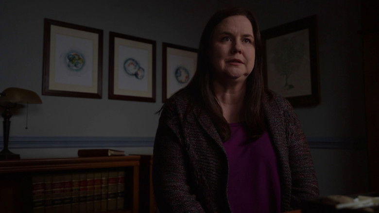 Fons de How Not to Buy a Couch