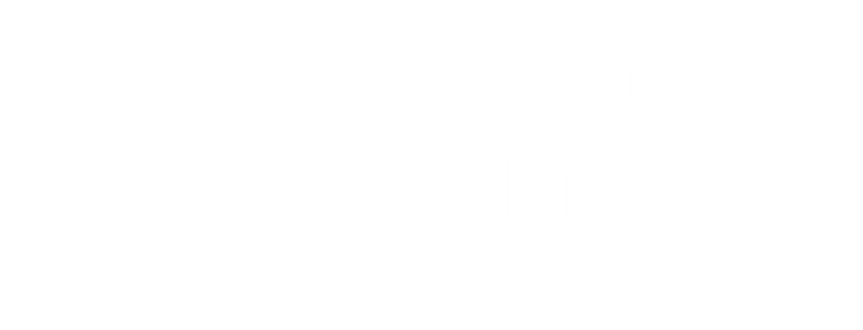 A Godwink Christmas: Meant For Love
