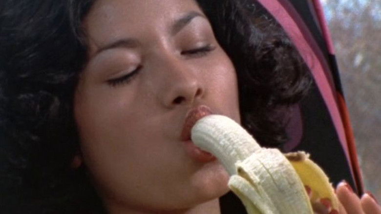 Backdrop de Fantasm Collection