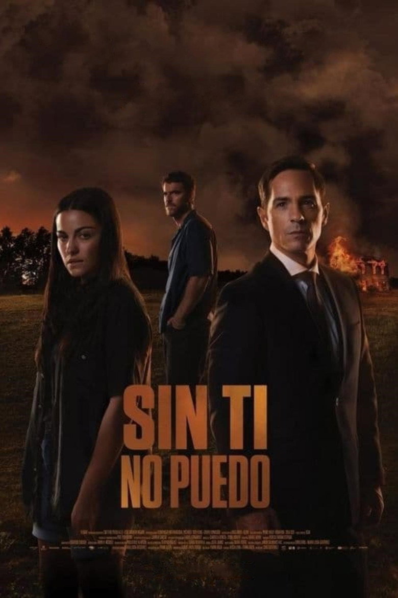 Imagen de Sin ti no puedo