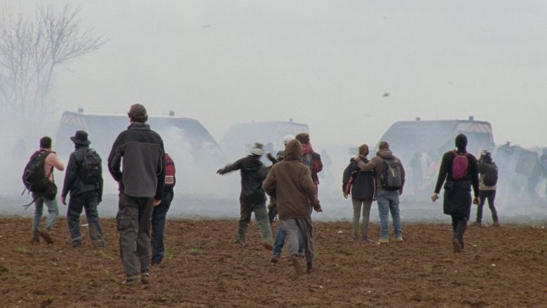 Direct Action main backdrop