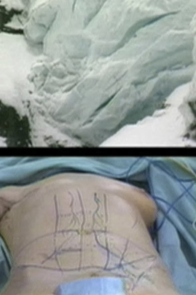 Noah's Raven background