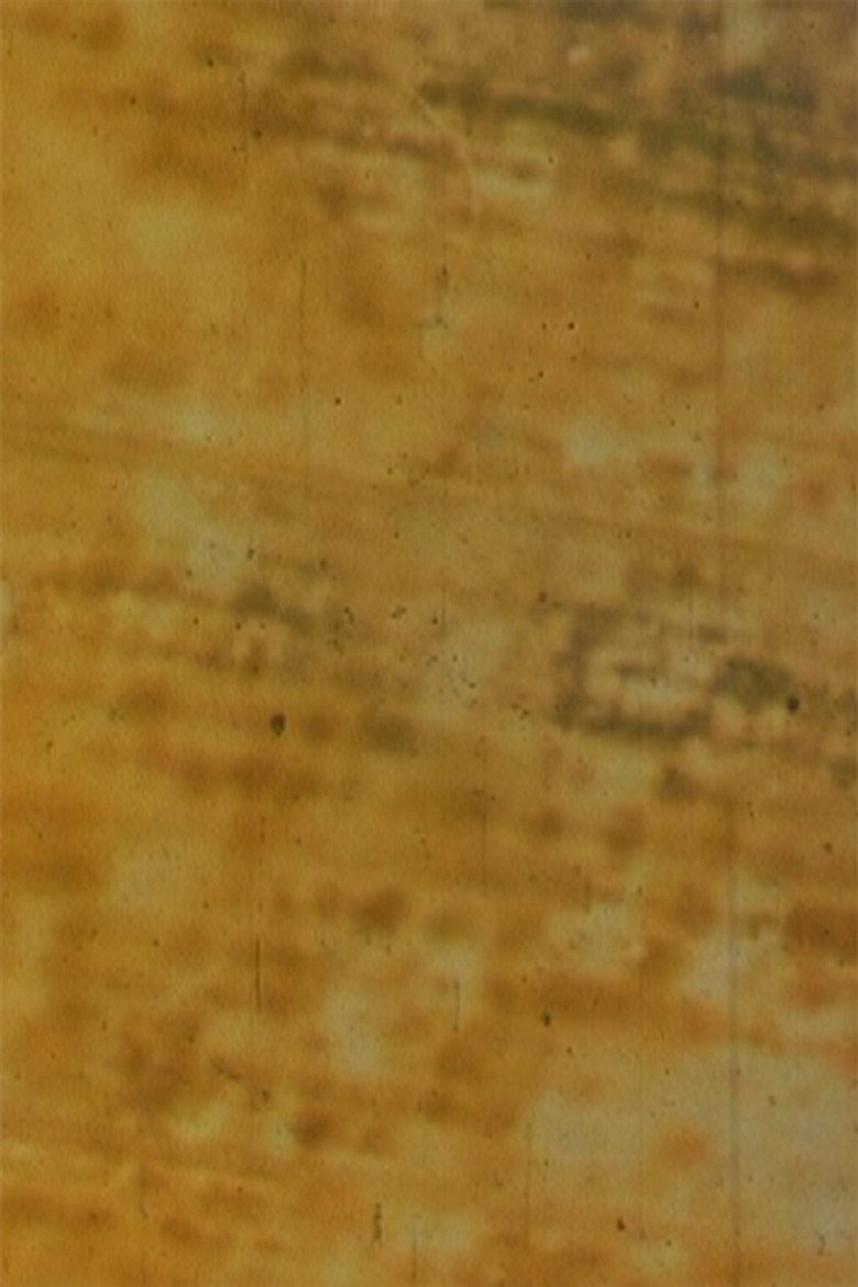 Bamboo background