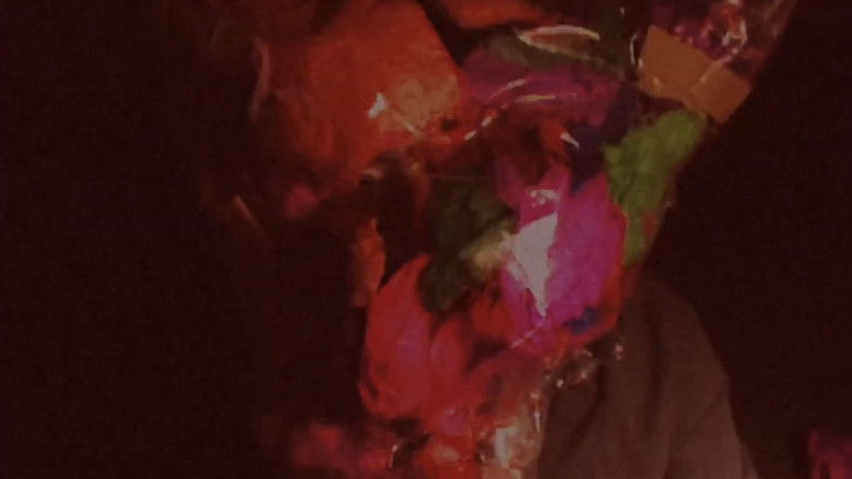 Imatge de Labour Exploiration