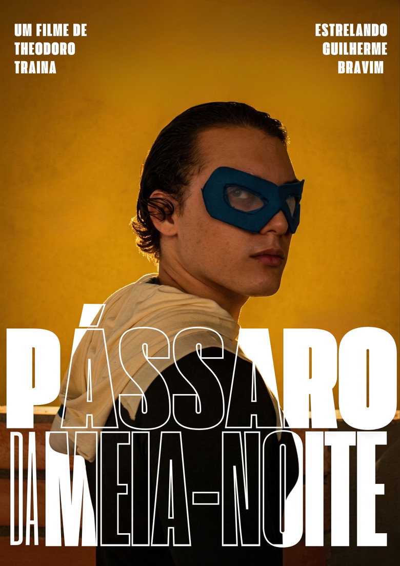 Imatge de Pássaros da Meia noite