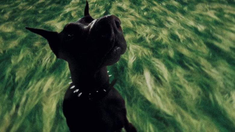 Imatge de Fashion Designa